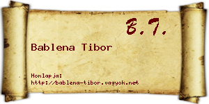 Bablena Tibor névjegykártya